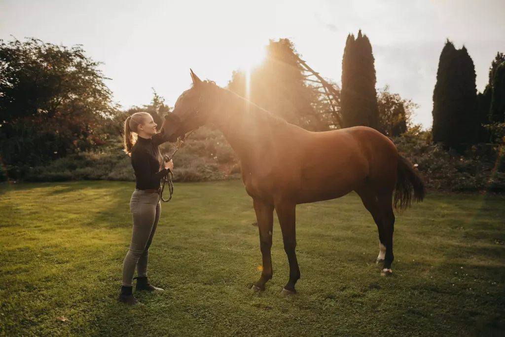 Young woman in a black turtleneck sweater lovingly holds a brown horse by its halter in a green garden at sunset.