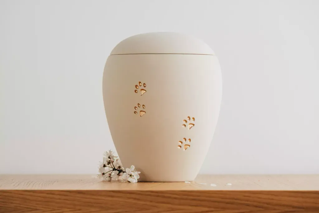 Helle Urne mit goldenem Pfotenmuster, platziert auf einem Holztisch mit Trockenblumenarrangement.