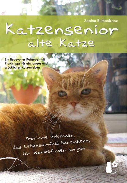 Worte gestorben tröstende katze Ich brauche